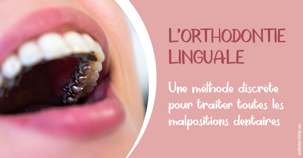 https://dr-feredj-elisabeth.chirurgiens-dentistes.fr/L'orthodontie linguale 2
